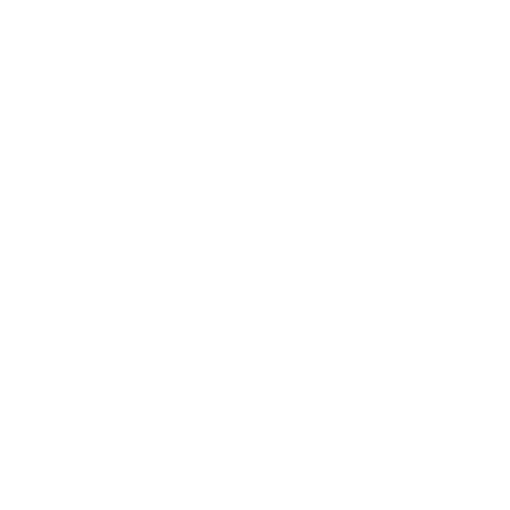 boeing-logo-white