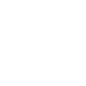 spylt-logo-white