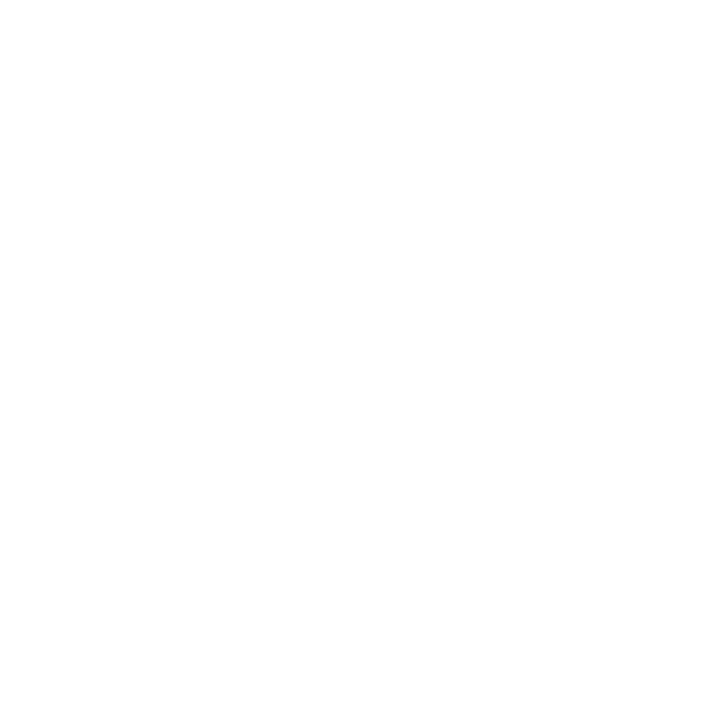 spylt-logo-white